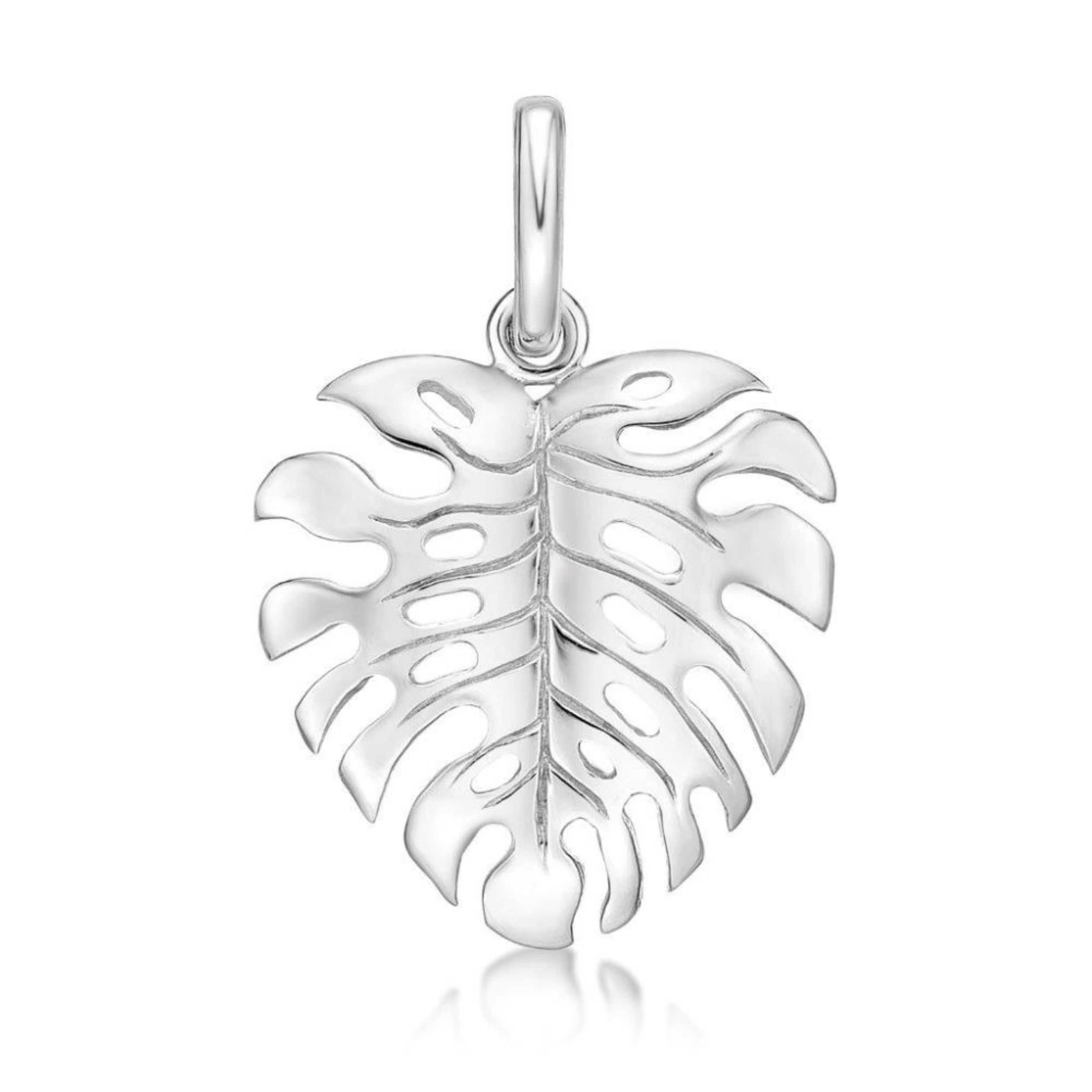 Picture of MONSTERA LEAF, CHARM